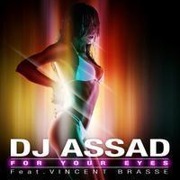 DJ ASSAD feat. VINCENT BRASSE