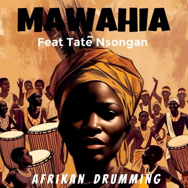 Tambour Africain